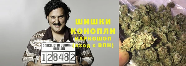 индика Верхний Тагил