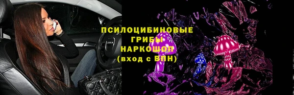 индика Верхний Тагил