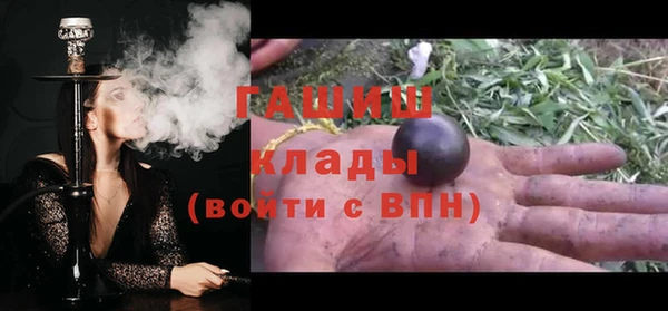 индика Верхний Тагил