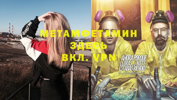 индика Верхний Тагил