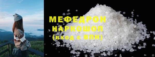 индика Верхний Тагил