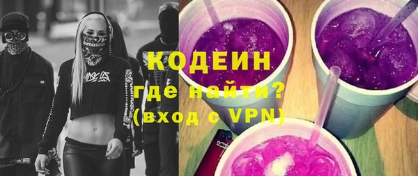 индика Верхний Тагил