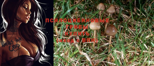 каннабис Верея
