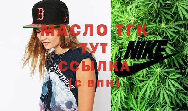 индика Верхний Тагил