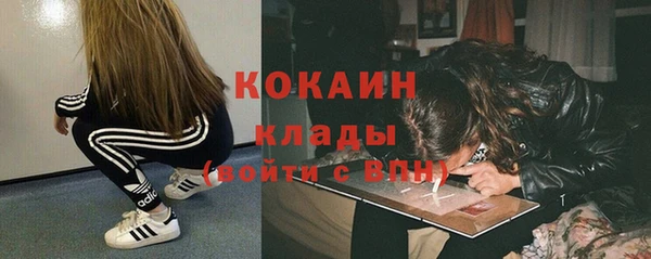 индика Верхний Тагил
