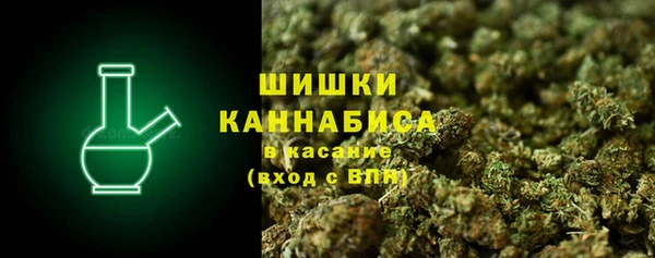 индика Верхний Тагил