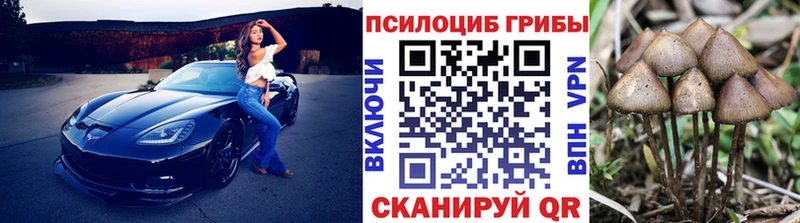 Купить где  Снежногорск  Псилоцибиновые грибы ЛСД 