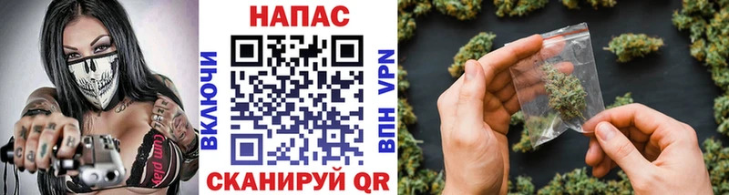 Бошки марихуана сатива  Купить закладки  Снежногорск 